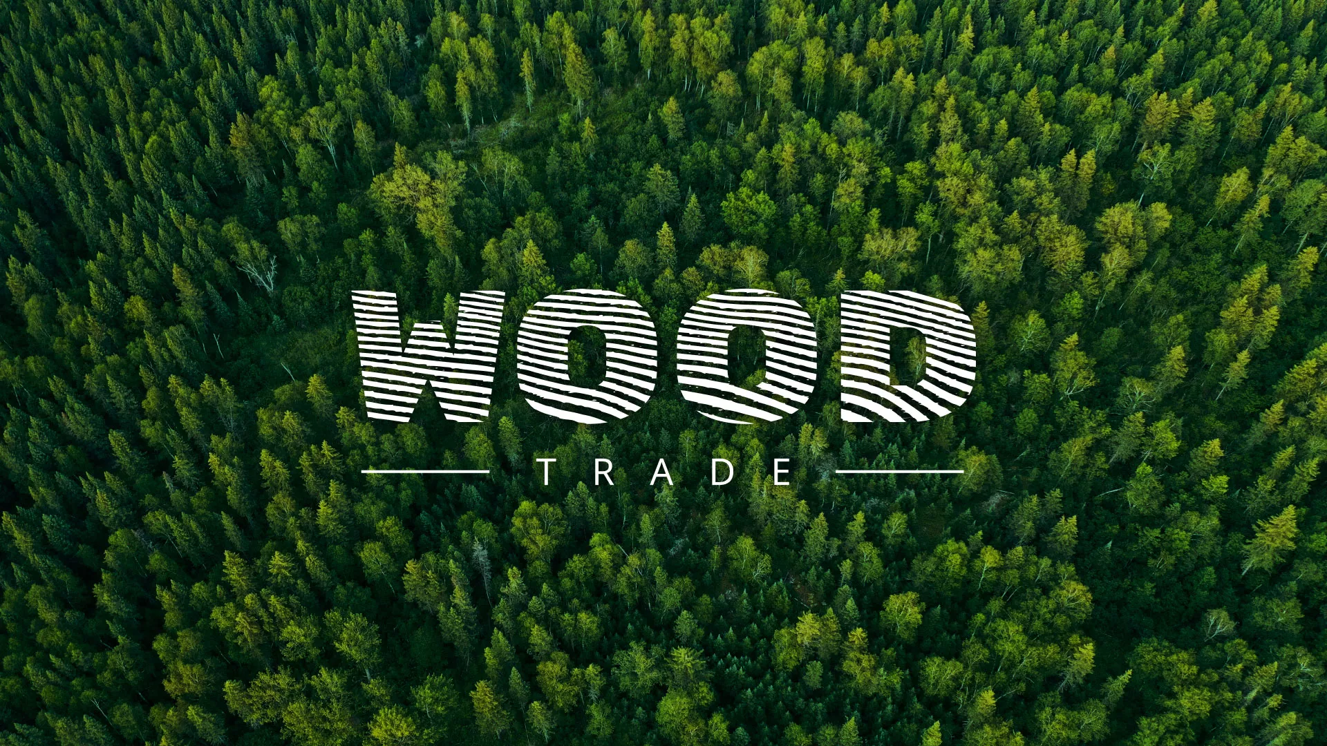 Разработка интернет-магазина компании «Wood Trade» в Хабаровске