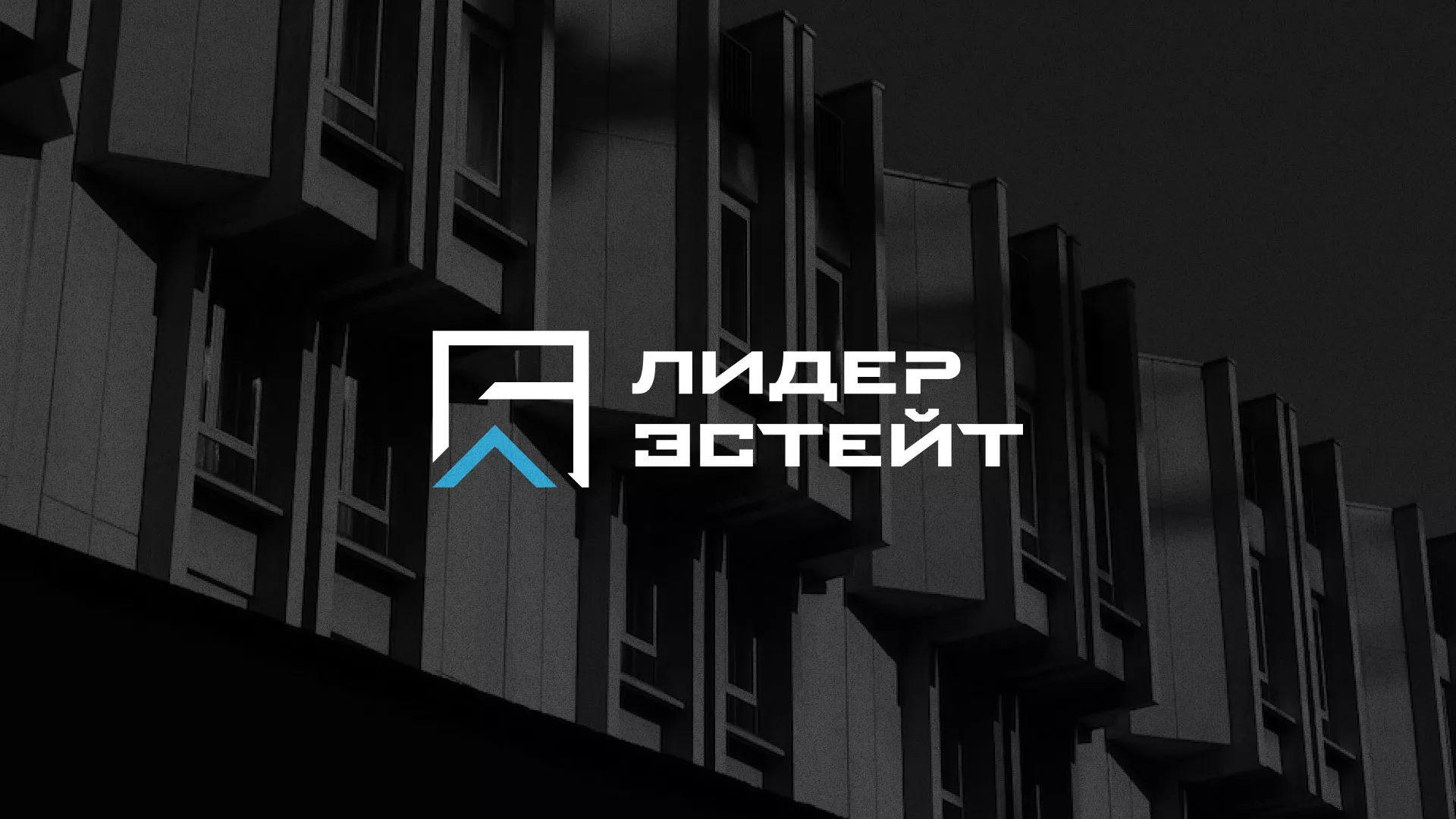 Разработка логотипа агентства недвижимости «Лидер Эстейт» в Хабаровске