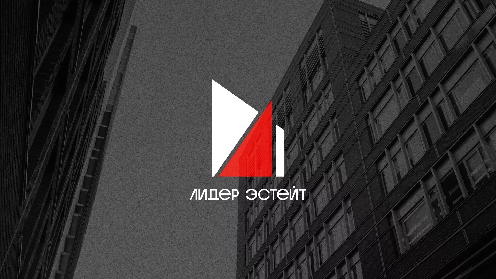 Сделали логотип для агентства недвижимости «Лидер Эстейт» в Хабаровске